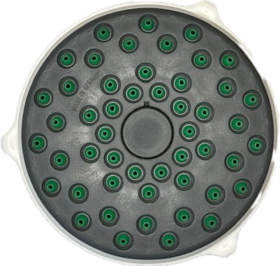 Grohe 28271L Exquisit Headshower
