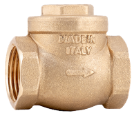 2 1/2" Brass Horizontal Swing/Flap Check valve